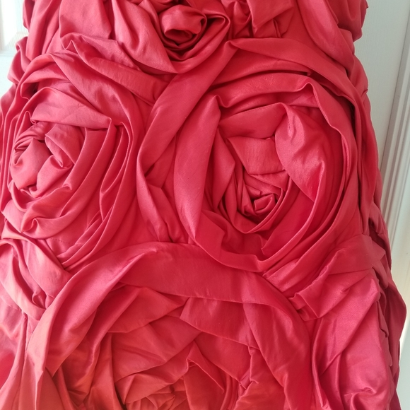 Fancy red dress - Picture 2 of 10